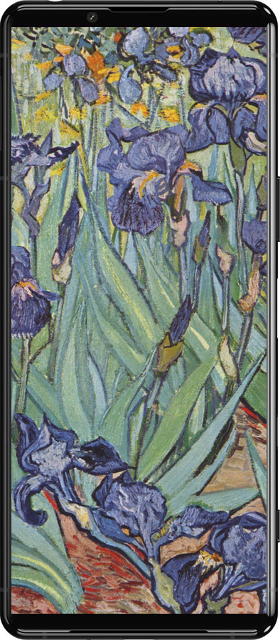 Силиконовый чехол Винсент Ван Гог. Ирисы для Sony Xperia 5 III - 161u-2580 изображение 