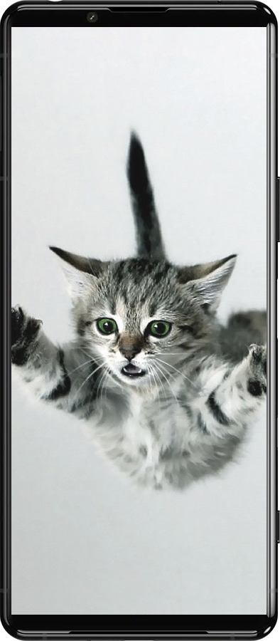 Силиконовый чехол Летящий котёнок для Sony Xperia 5 III - 2322u-2580 изображение 