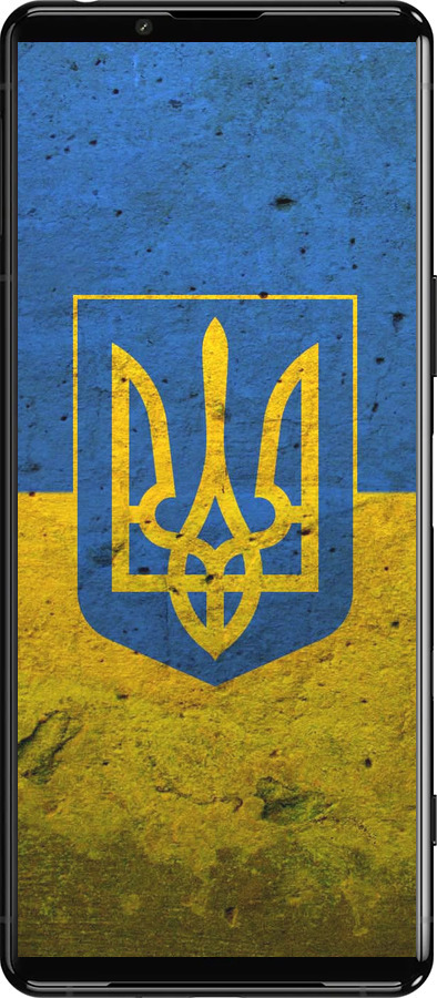 Силиконовый чехол Флаг и герб Украины 2 для Sony Xperia 5 III - 378u-2580 изображение 