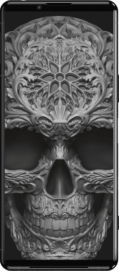 Силиконовый чехол skull-ornament для Sony Xperia 5 III - 4101u-2580 изображение 