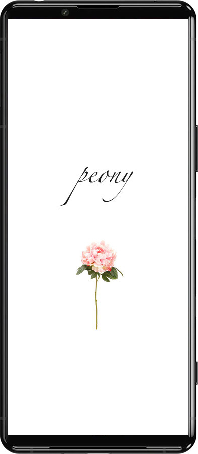 Силиконовый чехол Пион для Sony Xperia 5 III - 4366u-2580 изображение 