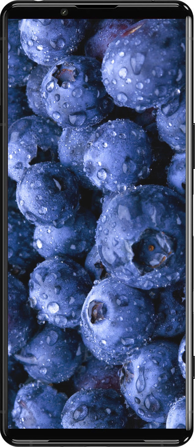 Силіконовий чехол Лохина для Sony Xperia 5 III - 4459u-2580 изображение 