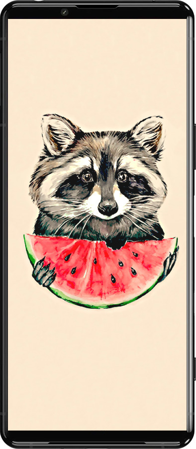 Силиконовый чехол Енотик с арбузом для Sony Xperia 5 III - 4605u-2580 изображение 