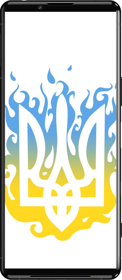 Силиконовый чехол Герб v1 для Sony Xperia 5 III - 5258u-2580 изображение 