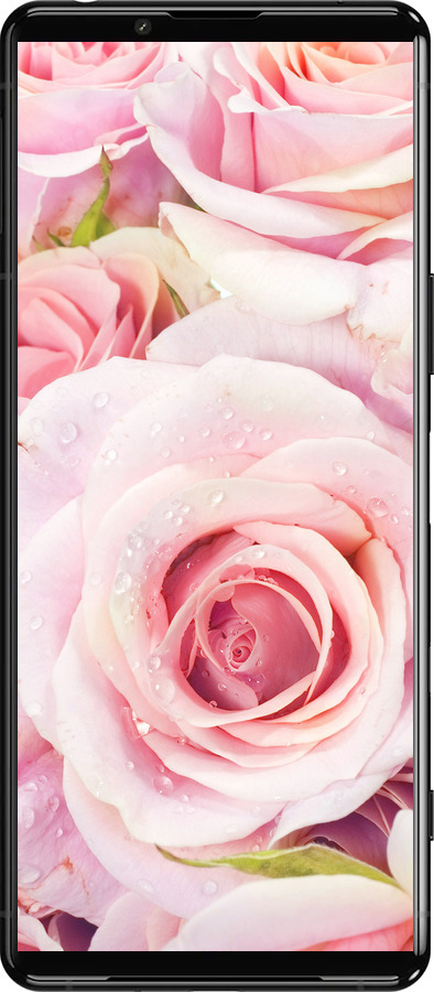 Силіконовий чехол Троянди для Sony Xperia 5 III - 525u-2580 изображение 