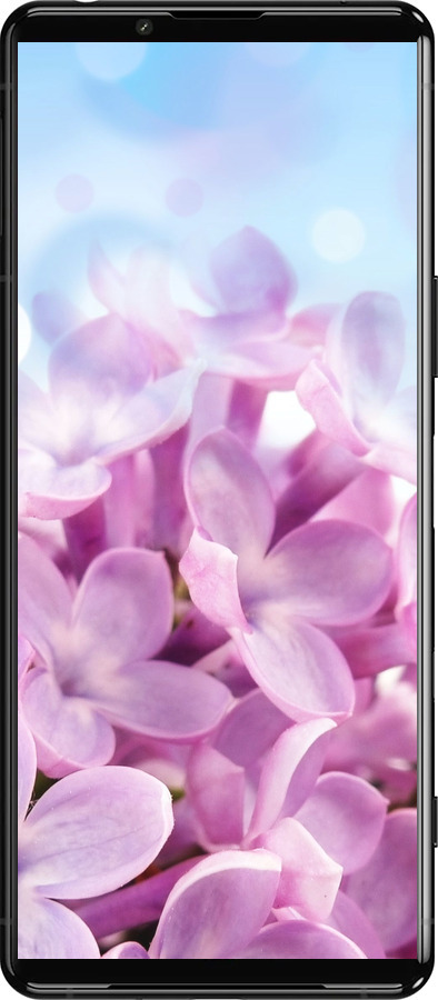 Силиконовый чехол Сирень для Sony Xperia 5 III - 527u-2580 изображение 