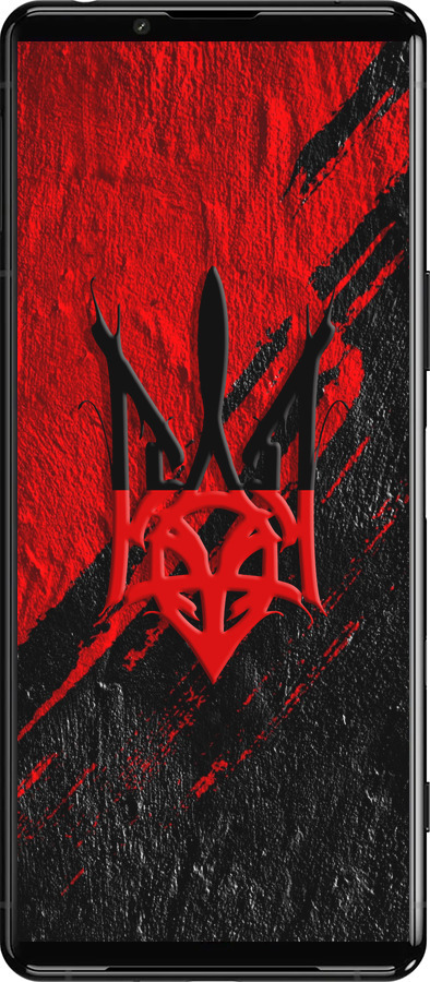 Силиконовый чехол Герб v4 для Sony Xperia 5 III - 5293u-2580 изображение 