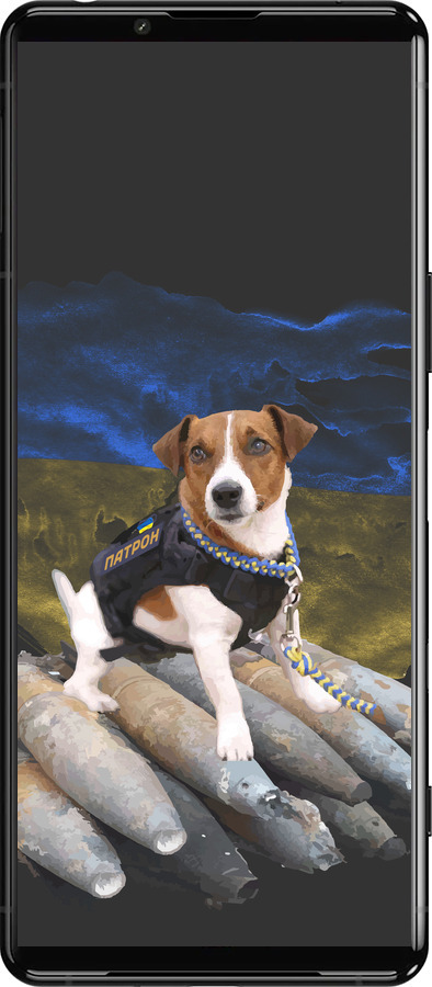 Силиконовый чехол Патрон для Sony Xperia 5 III - 5320u-2580 изображение 