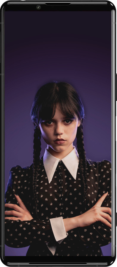 Силиконовый чехол Wednesday v3 для Sony Xperia 5 III - 5517u-2580 изображение 