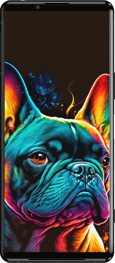 Силиконовый чехол Яркий бульдог для Sony Xperia 5 III - 5547u-2580 изображение 