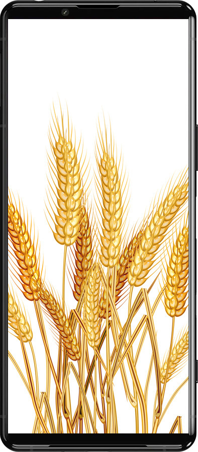 Силиконовый чехол Колоски пшеници для Sony Xperia 5 III - 5866u-2580 изображение 