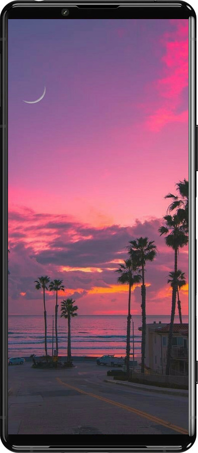 Силиконовый чехол Пальмы для Sony Xperia 5 III - 5873u-2580 изображение 