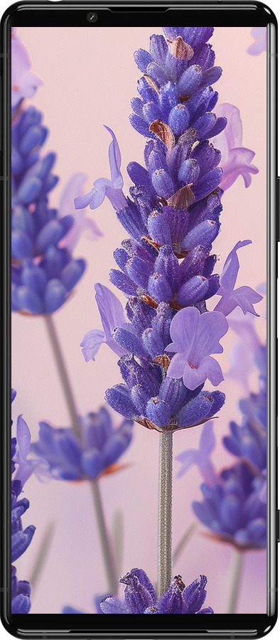 Силиконовый чехол Лаванда для Sony Xperia 5 III - 6037u-2580 изображение 