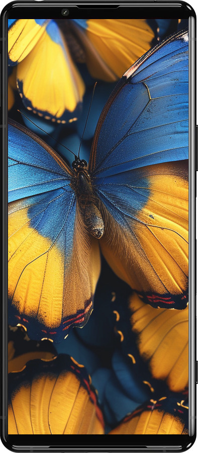 Силіконовий чехол Жовто-блакитні метелики для Sony Xperia 5 III - 6046u-2580 изображение 