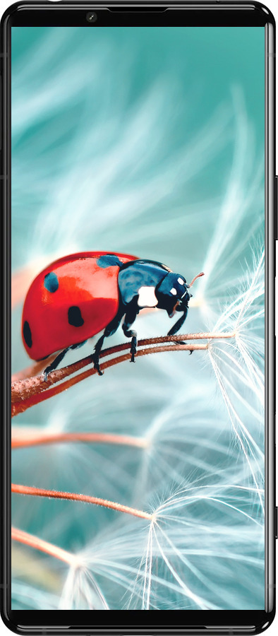 Силиконовый чехол Божья коровка для Sony Xperia 5 III - 6049u-2580 изображение 