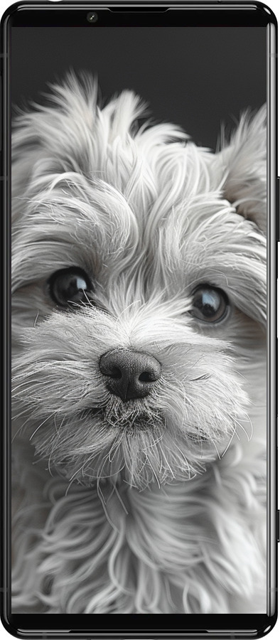 Силиконовый чехол Мальтипу на чорном фоне для Sony Xperia 5 III - 6156u-2580 изображение 