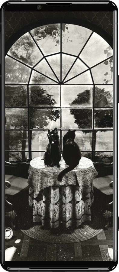 Силіконовий чехол Череп та коти для Sony Xperia 5 III - 6432u-2580 изображение 