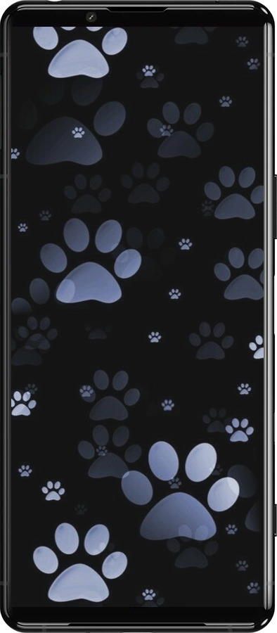 Силиконовый чехол С синими отпечатками лап для Sony Xperia 5 III - 6441u-2580 изображение 