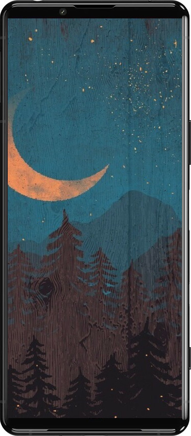 Силиконовый чехол Звездный лес для Sony Xperia 5 III - 6480u-2580 изображение 
