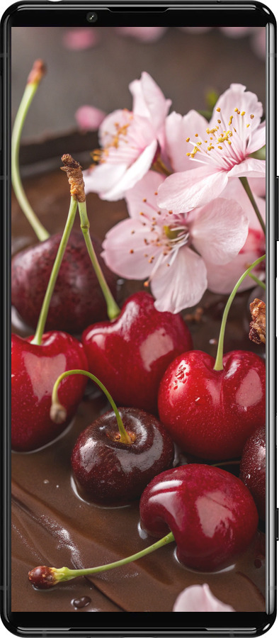 Силиконовый чехол Вишня в шоколаде для Sony Xperia 5 III - 6698u-2580 изображение 