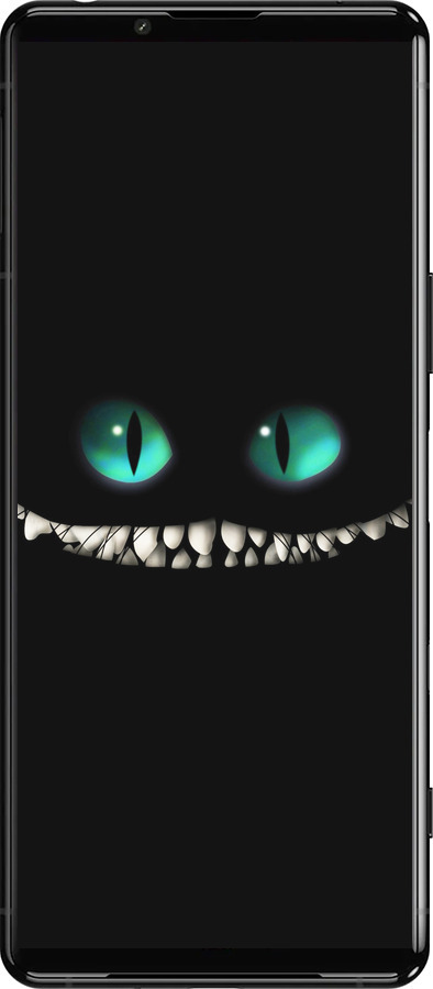 Силіконовий чехол Чеширський кіт для Sony Xperia 5 III - 689u-2580 изображение 