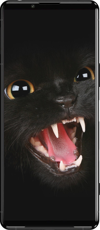 Силиконовый чехол Чёрная кошка для Sony Xperia 5 III - 932u-2580 изображение 