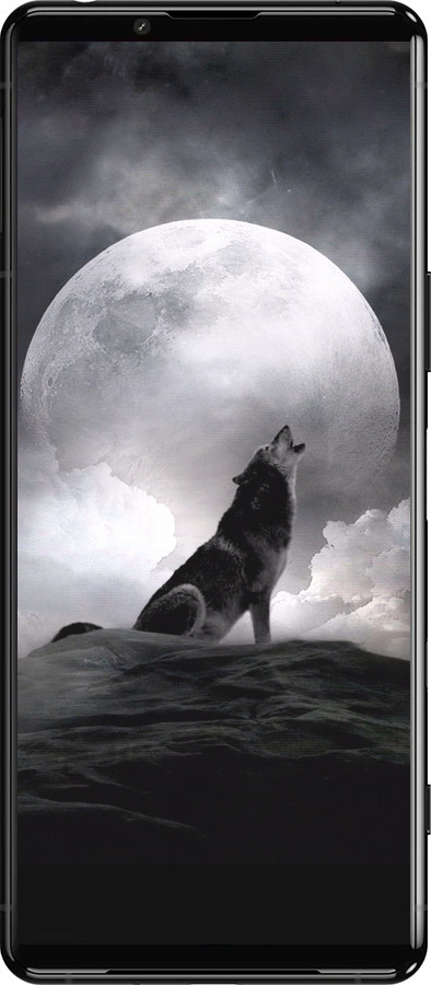 Силиконовый чехол Воющий волк для Sony Xperia 5 III - 934u-2580 изображение 