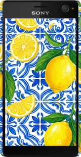 3D пластиковый матовый чехол Grocery Girl Italian Summer для Sony Xperia C4 E5333 - 6766m-295 изображение 