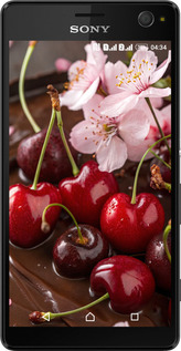 Силіконовий чехол Вишня у шоколаді для Sony Xperia C4 E5333 - 6698u-295 изображение 