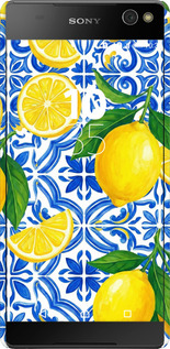 3D пластиковий глянцевий чехол Grocery Girl Italian Summer для Sony Xperia C5 Ultra Dual E5533 - 6766c-506 изображение 