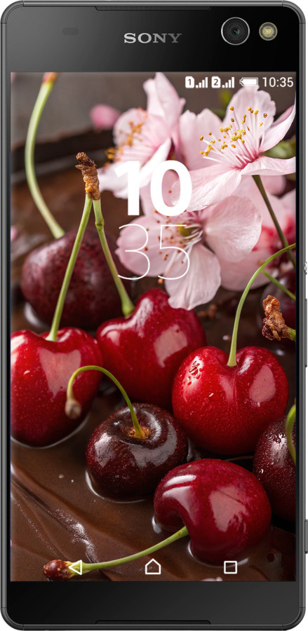 Силіконовий чехол Вишня у шоколаді для Sony Xperia C5 Ultra Dual E5533 - 6698u-506 изображение 