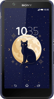 3D пластиковий глянцевий чехол Cute Cat Celestial/Witchy для Sony Xperia E4 Dual E2115 - 6787c-87 изображение 