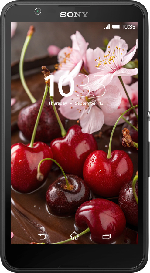Силиконовый чехол Вишня в шоколаде для Sony Xperia E4 Dual E2115 - 6698u-87 изображение 