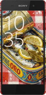 3D пластиковый глянцевый чехол Vintage Sardine Tin Phone для Sony Xperia E5 F3311 - 6772c-458 изображение 