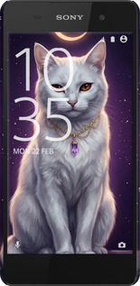 3D пластиковий глянцевий чехол Mystic White Cat Gothic Dark Purple Gold для Sony Xperia E5 F3311 - 6805c-458 изображение 