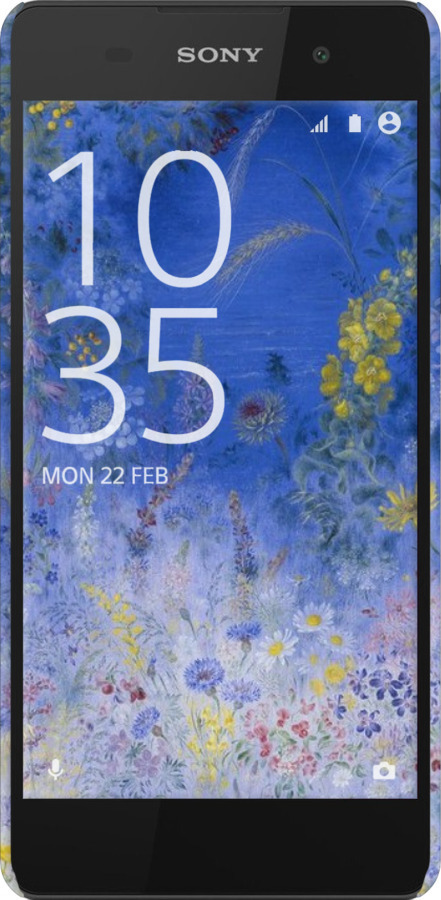 3D пластиковый глянцевый чехол Билокур для Sony Xperia E5 F3311 - 5908c-458 изображение 