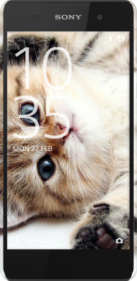 3D пластиковый глянцевый чехол Котик для Sony Xperia E5 F3311 - 6024c-458 изображение 