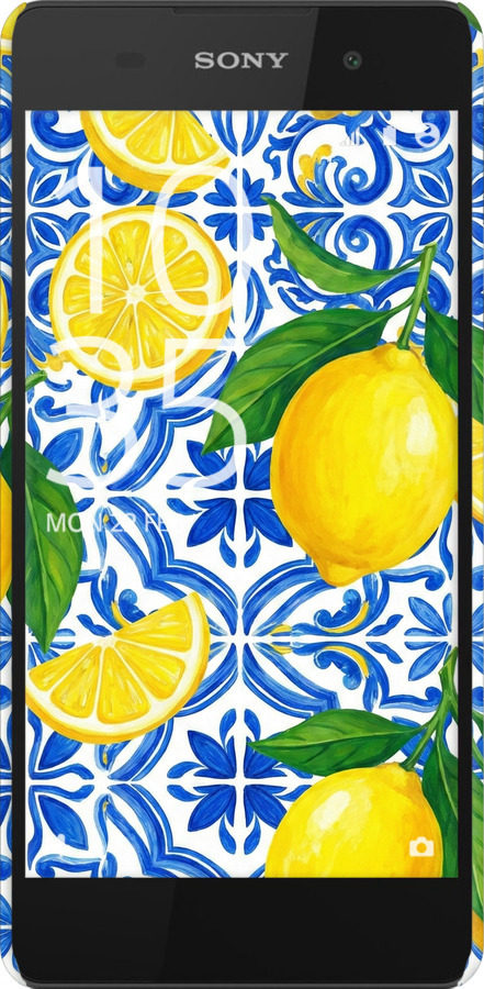 3D пластиковий матовий чехол Grocery Girl Italian Summer для Sony Xperia E5 F3311 - 6766m-458 изображение 