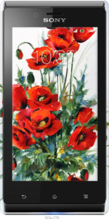 3D пластиковый глянцевый чехол Маки для Sony Xperia J ST26i - 523c-779 изображение 