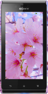 3D пластиковый глянцевый чехол Сакура для Sony Xperia J ST26i - 6029c-779 изображение 
