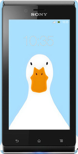 3D пластиковый глянцевый чехол Гусь для Sony Xperia J ST26i - 6350c-779 изображение 