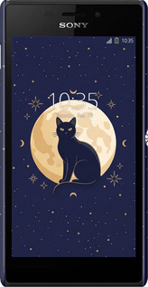 3D пластиковый глянцевый чехол Cute Cat Celestial/Witchy для Sony Xperia M2 dual D2302 - 6787c-61 изображение 