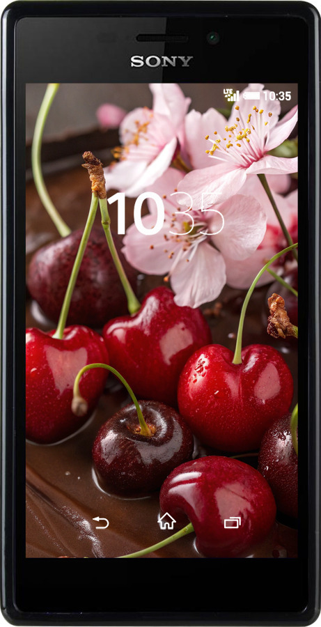 Силіконовий чехол Вишня у шоколаді для Sony Xperia M2 dual D2302 - 6698u-61 изображение 