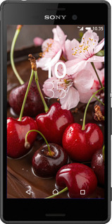 Силиконовый чехол Вишня в шоколаде для Sony Xperia M4 Aqua E2312 - 6698u-162 изображение 