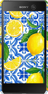 3D пластиковый глянцевый чехол Grocery Girl Italian Summer для Sony Xperia M5 E5633 - 6766c-217 изображение 