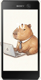 3D пластиковый глянцевый чехол Funny Capybara CEO Working для Sony Xperia M5 E5633 - 6777c-217 изображение 