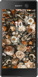 Силиконовый чехол В стиле барокко-мрачный для Sony Xperia M5 E5633 - 6404u-217 изображение 