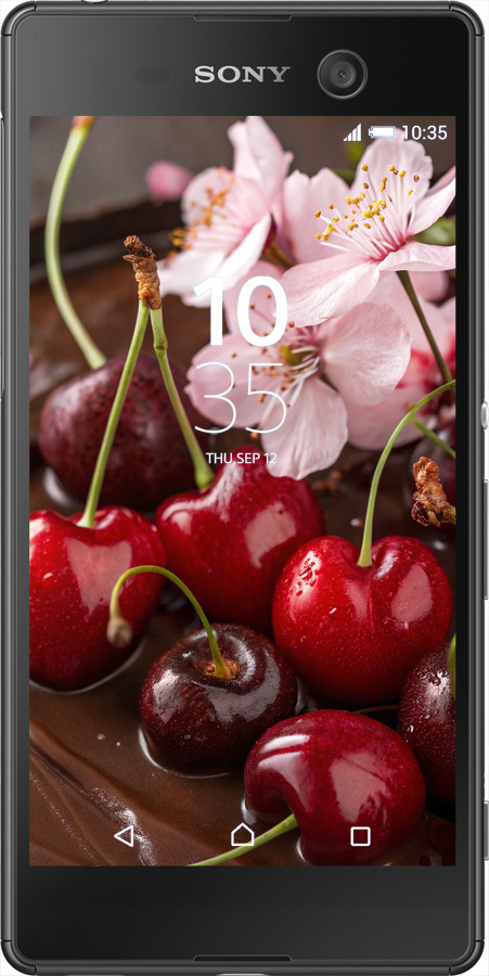 Силиконовый чехол Вишня в шоколаде для Sony Xperia M5 E5633 - 6698u-217 изображение 