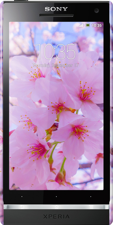 3D пластиковый глянцевый чехол Сакура для Sony Xperia S LT26i - 6029c-86 изображение 