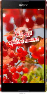 3D пластиковый глянцевый чехол Калина для Sony Xperia T2 Ultra Dual D5322 - 5454c-92 изображение 